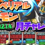【パズドラ】最大耐久1億!?最強ドラゴンのインペリアルドラモンで月チャレンジを粉砕する!! #ドラゴン縛り #デジモンコラボ【#ゆっくり実況 】