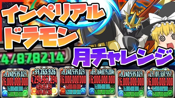 【パズドラ】最大耐久1億!?最強ドラゴンのインペリアルドラモンで月チャレンジを粉砕する!! #ドラゴン縛り #デジモンコラボ【#ゆっくり実況 】