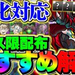 【強化対応】フェス限1体配布は誰を選ぶべき？後悔しない最適解を教えます。【パズドラ】