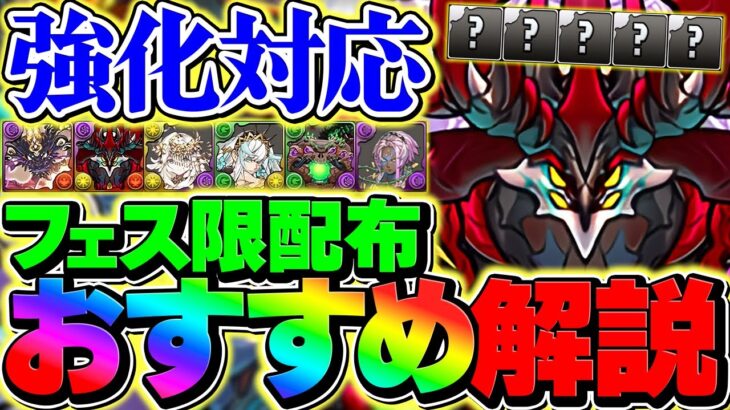 【強化対応】フェス限1体配布は誰を選ぶべき？後悔しない最適解を教えます。【パズドラ】