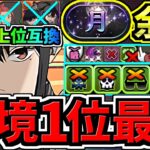 【環境1位】○○採用でさらに強くなったミナ最強テンプレ解説！月チャレンジ周回！ミナ編成！代用・立ち回り解説！【パズドラ】