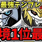 【環境1位】ぶっ壊れ！インペリアルドラモン入りオメガモン最強テンプレ解説！編成・代用・立ち回り解説！デジモンコラボ【パズドラ】