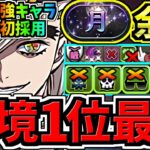 【環境1位】最強○○初採用でめっっちゃ強くなった最強テンプレ解説！月チャレンジ周回！童磨編成！代用・立ち回り解説！【パズドラ】