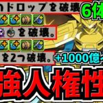 【最強人権性能】超超強い！デジモン＝神ガチャ確定！総上限値1000億UP＆新スキル等！デジモンコラボ6体性能解説！パズドラ最新情報解説【パズドラ】