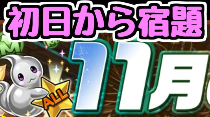 【生放送】11月初日から宿題をやってしまおうの会【パズドラ】