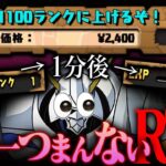 【衝撃】今のパズドラは金払えば一瞬でランク1100に到達できるwwwwww+感想【パズドラ】