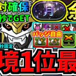 【環境1位】絶対2体確保！無料10秒でGET！〇〇採用でさらに強くなった最強テンプレ解説！月チャレンジ周回！インペリアルドラモン入りオメガモン編成！代用・立ち回り解説！デジモンコラボ【パズドラ】