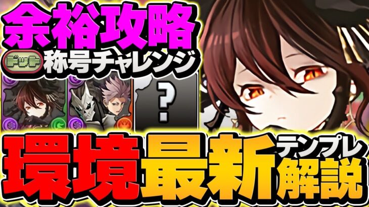 ドットチャレンジをロゼッタで14分攻略！これ組めば誰でも勝てます！代用&立ち回り解説！【パズドラ】