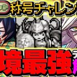 【環境最強】童磨でドットチャレンジを15分攻略！代用&立ち回り解説！最強テンプレ誕生！【パズドラ】