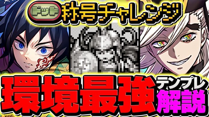 【環境最強】童磨でドットチャレンジを15分攻略！代用&立ち回り解説！最強テンプレ誕生！【パズドラ】