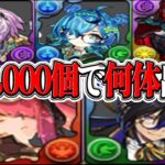 【大損注意】ゴッフェ引いた人は負け組？無料魔法石300個の間違った使い方【パズドラ】