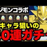 【ガチャ動画】ランダンキャラ狙ってデジモン40連ガチャ！【パズドラ】