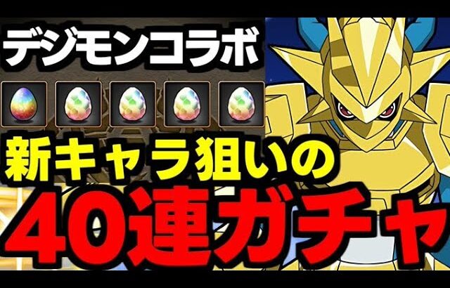 【ガチャ動画】ランダンキャラ狙ってデジモン40連ガチャ！【パズドラ】