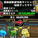 【超絶検証】新規アカウントで経験値50億ダンジョンやったらどうなっちゃうの！？【パズドラ】