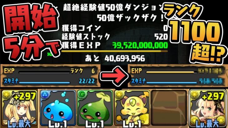 【超絶検証】新規アカウントで経験値50億ダンジョンやったらどうなっちゃうの！？【パズドラ】