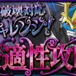 【最適性】称号取るならこれ組めばOK！インペリアルドラモンで月チャレンジ楽々攻略！立ち回り&代用解説！【パズドラ】
