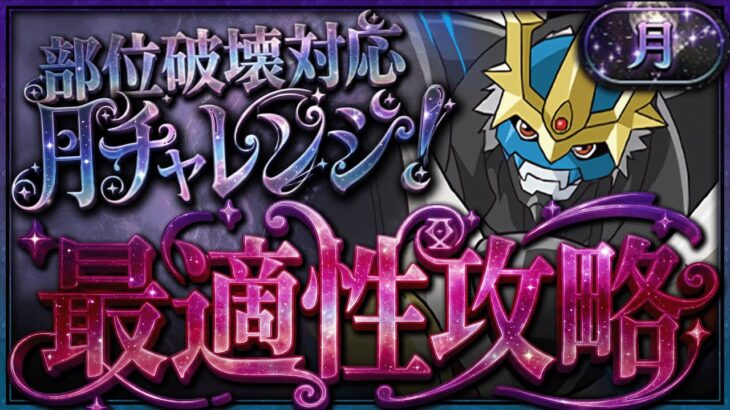 【最適性】称号取るならこれ組めばOK！インペリアルドラモンで月チャレンジ楽々攻略！立ち回り&代用解説！【パズドラ】