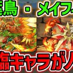 新降臨キャラ「メイフィール」性能解説！交換所が最強！絶対に確保すべきです！【パズドラ】
