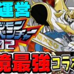 【実質全員配布】強化版オメガモン⁉︎ 新コラボ＆新キャラ情報が激アツすぎた公式生放送【パズドラ】