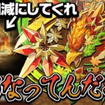 メイフィール降臨と新武器にキレ散らかす男【パズドラ】