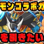 デジモンコラボガチャがきた！！貯めた魔法石全部使って新キャラ達を狙いにいきます…！【パズドラ】