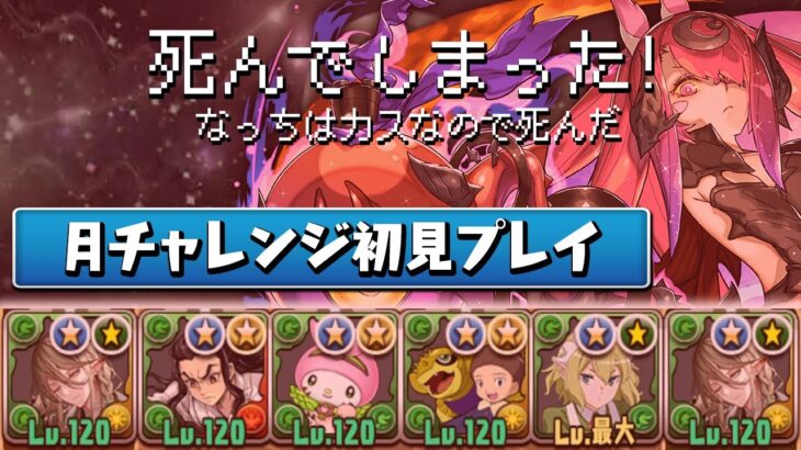 【アクシデント多数】嫌な予感しかしない初見の月チャレンジ【パズドラ】