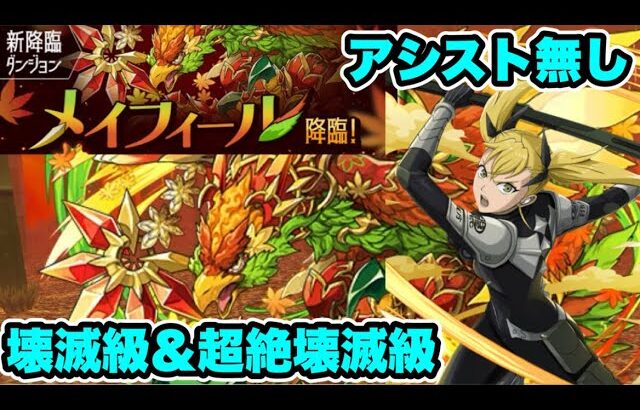 【キコルループ】アシスト無し‼️メイフィール降臨 壊滅級・超絶壊滅級クリア編成・立ち回り紹介！！【パズル&ドラゴンズ/#パズドラ】