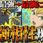 【キコル覚醒】デジモンコラボで更にぶっ壊れ周回リーダーに！環境1位確定！新万寿4分台でずらし周回！【パズドラ】
