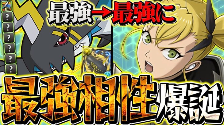【キコル覚醒】デジモンコラボで更にぶっ壊れ周回リーダーに！環境1位確定！新万寿4分台でずらし周回！【パズドラ】