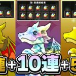 俺だけフェス限確定ガチャ20連！？【パズドラ】